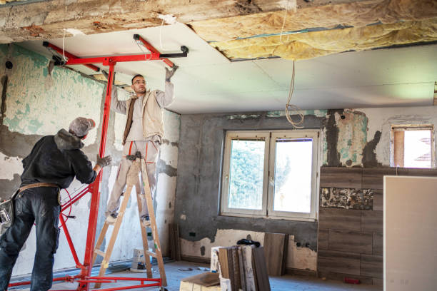Best Eco-Friendly Insulation in Menifee, CA
