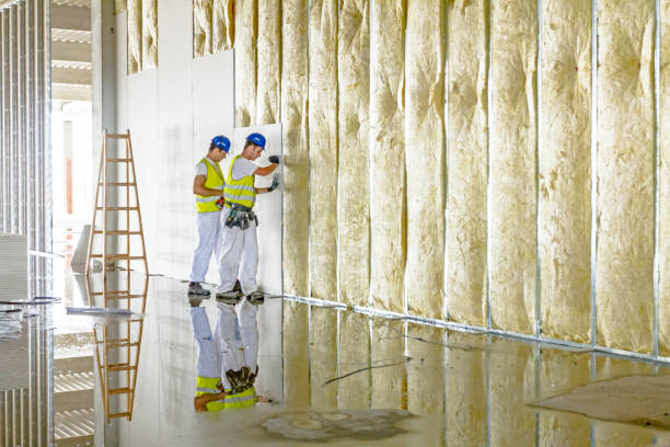 Best Insulation Maintenance and Repair in Menifee, CA